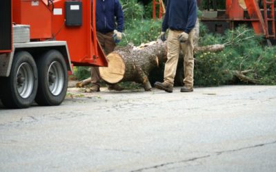 Harper Tree Service